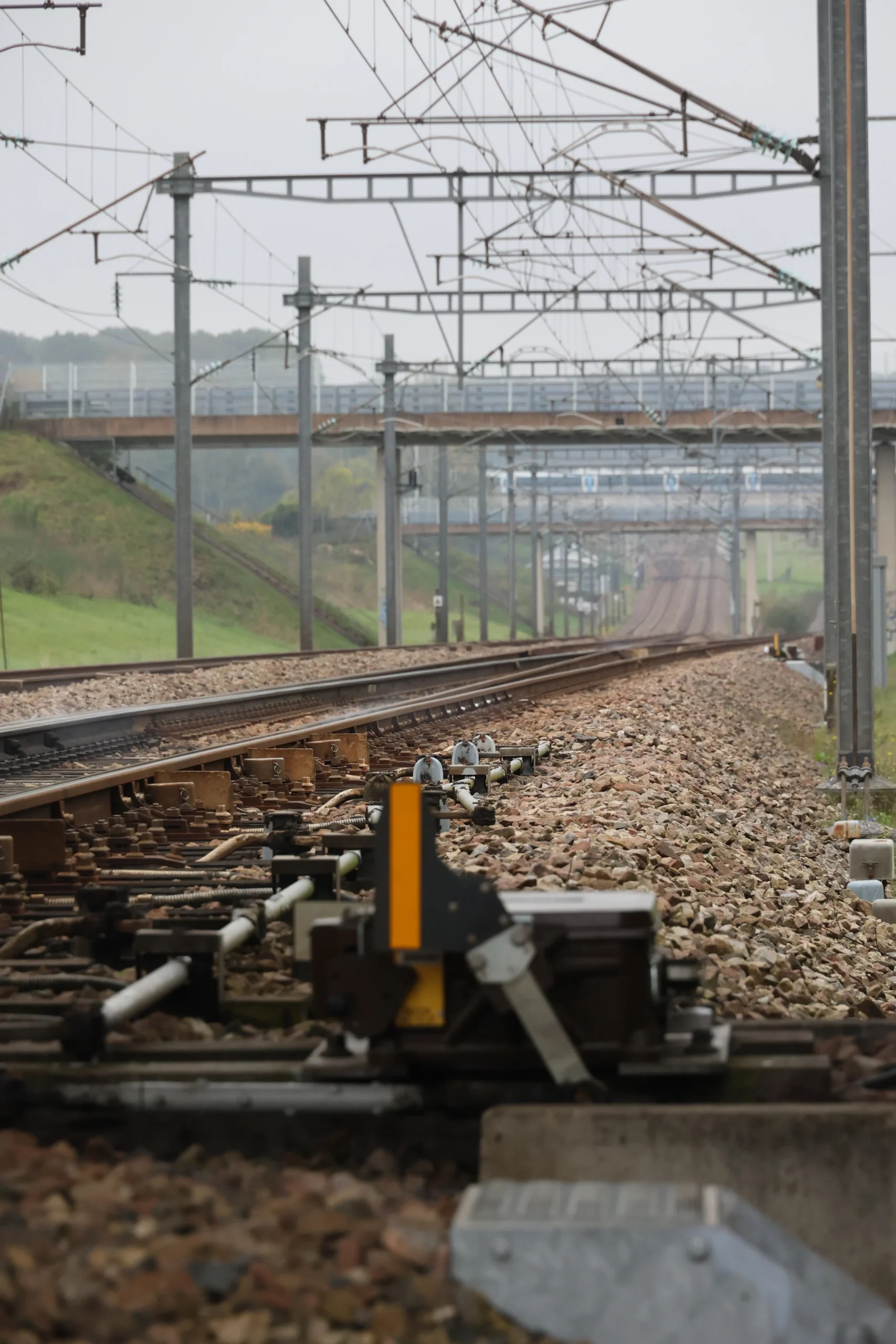 2024-10-31-15-15-53-EV7A5241